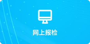网上报检