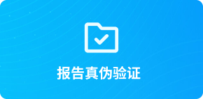 报告真伪验证